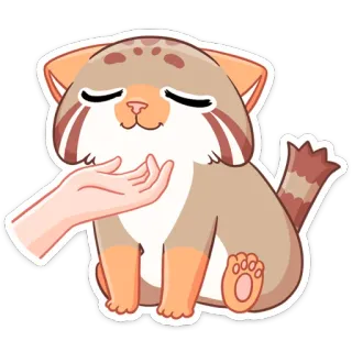 ☺️ dfbcd8c4 chat, animal, animal de compagnie, mignon, kawaii, main, câlin telegram sticker