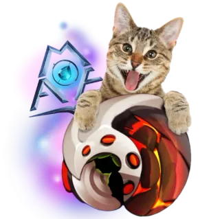 🐱 81f9c411 kucing, hewan, stiker, hewan peliharaan, felidae whatsapp sticker