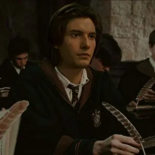 💋 e8fd07c2 Sirius Black Harry Potter magia, bruxo, estudante, Hogwarts, escola telegram sticker