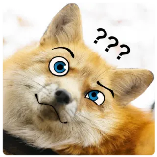 🤨 0362c66d ??? สุนัขจิ้งจอก, เครื่องหมายคำถาม, สัตว์, มีม, สับสน, ตาการ์ตูน, สติกเกอร์ telegram sticker