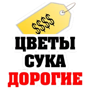 😡 7ec5579d ЦВЕТЫ
СУКА
ДОРОГИЕ дорого, цветы, цена, ценник, ругательство telegram sticker