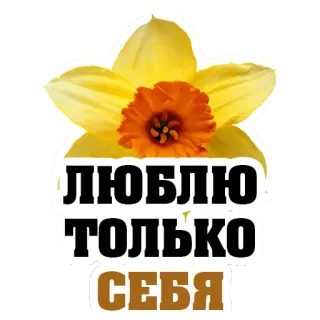 👍 8c25f9a1 ЛЮБЛЮ
ТОЛЬКО
СЕБЯ нарцисс, цветок, русский, текст, стикер, любовь, себя telegram sticker