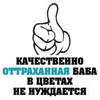 👍 b3a701b3 КАЧЕСТВЕННО ОТТРАХАННАЯ БАБА В ЦВЕТАХ НЕ НУЖДАЕТСЯ русский, текст, стикер, типографика telegram sticker