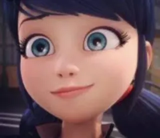 Miraculous ladybug @biggestfan whatsapp stickers