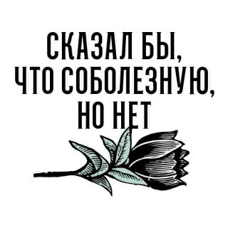 🥀 7c51da22 СКАЗАЛ БЫ, ЧТО СОБОЛЕЗНУЮ, НО НЕТ condoglianze, sarcasmo, fiore, russo, testo telegram sticker