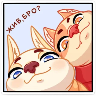 😳 dcff3c9e ЖИВ,БРО? gatto, carino, cartone animato, russo, amico, animali telegram sticker