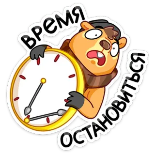 ✋ f7e50648 Время остановиться Marmota, Relógio, Tempo, Parar, Desenho animado, Adesivo, Russo telegram sticker