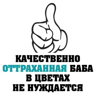 🔞 3e9576a8 КАЧЕСТВЕННО ОТТРАХАННАЯ БАБА В ЦВЕТАХ НЕ НУЖДАЕТСЯ offensant, vulgaire, pouce levé, russe telegram sticker