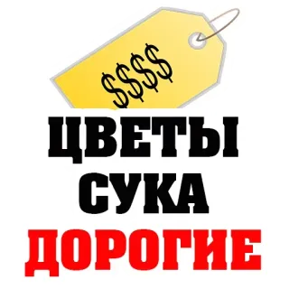 💰 779c5ba5 ЦВЕТЫ
СУКА
ДОРОГИЕ fleurs, cher, russe, vulgarité, étiquette de prix, signes dollar telegram sticker