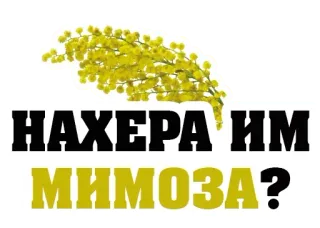 🌼 af0d689f НАХЕРА ИМ МИМОЗА? mimosa, fleurs, russe, texte telegram sticker