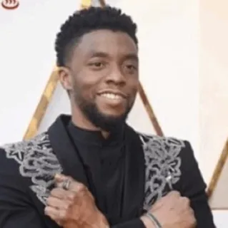 🌪 e095f62b Chadwick Boseman ator, homem, retrato, celebridade telegram sticker