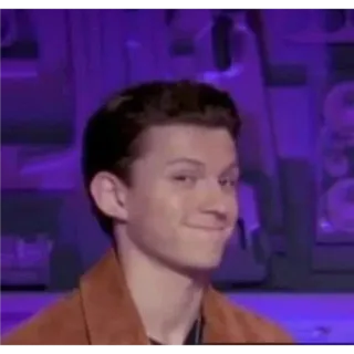 😏 27e15b33 Tom Holland diễn viên, người nổi tiếng, meme, hài hước telegram sticker
