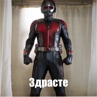 👋 e069ff6f Ant-Man Здрасте Ant-Man, supereroe, Marvel, costume telegram sticker
