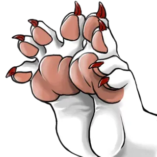 🐾 d36984f8 동물 발, 발톱, 발, 동물, 고양이, 개, 애완 동물, 흰색 telegram sticker