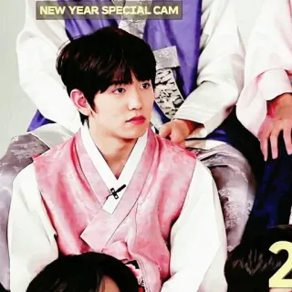 ☁ dd12f65f NEW YEAR SPECIAL CAM kpop, ano novo, idol, coreano, hanbok, especial whatsapp sticker