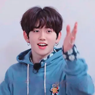 🐹 b1782bcf kpop, man, male, person, earrings, hoodie, youth whatsapp sticker