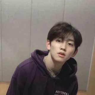 🐹 c72091d4 NOCTURNAL person, hoodie, purple, portrait whatsapp sticker