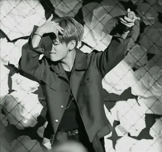 💃 08036030 telegram sticker