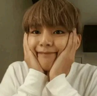 🙂 9133f503 người, chân dung, cười, châu á, nam, tay, mặt telegram sticker