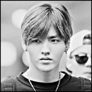 ♠️ 884daaea Kris Wu Портрет, Мужчина, Знаменитость, Крис Ву, Певец, Актер telegram sticker