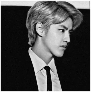 ➰ 75243ee1 мужчина, портрет, черно-белый, костюм, галстук, человек, красивый telegram sticker