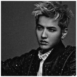 ➰ da717a18 Kris Wu знаменитость, портрет, крис ву, актер, певец telegram sticker