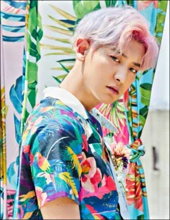 🌑 406b4806 kpop, 韩国流行, 歌手, 时尚, 偶像, 亚洲, 男, 音乐 telegram sticker