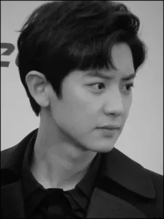 🖤 fedeb879 Chanyeol kpop, sänger, idol, exo, koreanischer promi, schauspieler telegram sticker