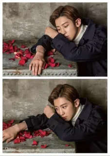 ❄️ 75cef0d5 男性, 花, 赤い花びら, 韓国, ポートレート, 休憩 telegram sticker