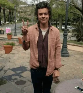 💞 08321951 Harry Styles Sänger, Promi, Friedenszeichen, One Direction telegram sticker