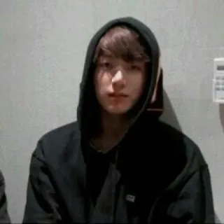 🍟 32cddd79 sweat à capuche, personne, ado, portrait telegram sticker