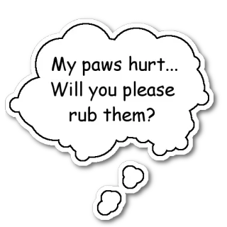🐾 11e74333 My paws hurt... Will you please rub them? 발, 아픔, 문지르다, 요청, 귀여운, 동물, 애완동물 telegram sticker