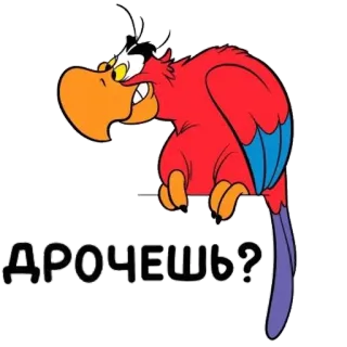 👹 d85afd32 ДРОЧЕШЬ? Мультик, Попугай, Птица, Красный, Русский, Оскорбительный telegram sticker