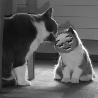 ☺️ 4c905e71 gato, gatito, Minecraft, mascota telegram sticker