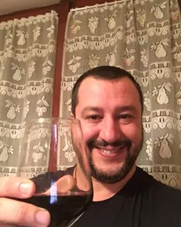 Salvini whatsapp stickers