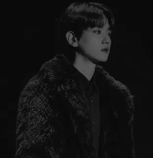 🇦🇹 03a72176 whatsapp sticker