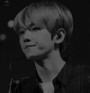 🇦🇹 1393608d whatsapp sticker