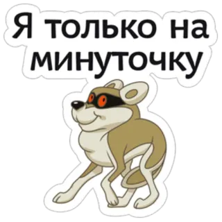 😬 f69fb977 Я только на минуточку desenho animado, guaxinim, animal, adesivo, humor telegram sticker