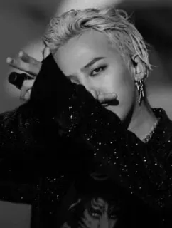 🍾 2b8a2889 cantor, celebridade, artista, retrato, homem, monocromático whatsapp sticker