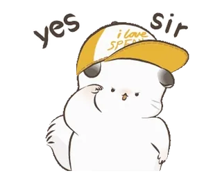 ✌ d5d882bb yes sir I LOVE SPEAK животное, шиншилла, милый, шляпа, стикер, говорящий, так точно telegram sticker