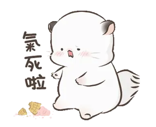 🍦 5dd1eece 氣死啦 imut, hewan, sedih, kartun, chinchilla, kawaii, jengkel telegram sticker