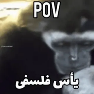 🖤 e1d7ec34 POV
يأس فلسفي macaco, perspectiva, tédio, filosofia, animal, meme telegram sticker