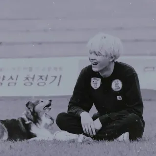 🍂 e8dbd3c1 cão, pessoa, sentado, grama, sorrindo, alegria telegram sticker