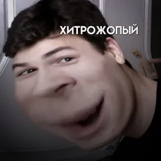 😉 0cba3e14 ХИТРОЖОПЫЙ Meme, Śmieszne, Portret, Rosyjski, Obraźliwe, Slang whatsapp sticker