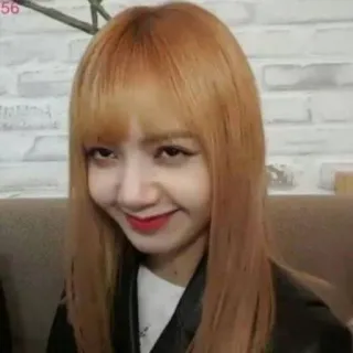 😜 500c8bb6 Lisa kpop, певица, женщина, знаменитость, лиса, blackpink whatsapp sticker