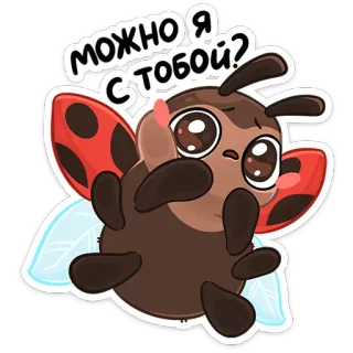 ❓ f86088bf можно я с тобой? Marienkäfer, süß, Cartoon, Insekt, Tier, Wunsch telegram sticker