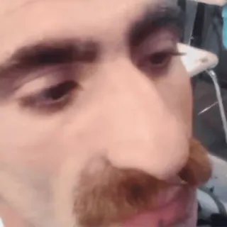 👃 70731b96 telegram sticker