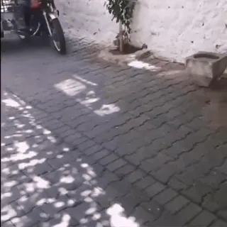 🏍 ae04e8a4 telegram sticker