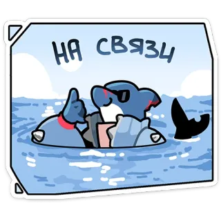 ⭐ c551fd4f НА СВЯЗИ squalo, mare, cartone animato, online, comunicazione, onde whatsapp sticker