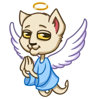👼 ba17d9fd anioł, kot, halo, skrzydła, słodki telegram sticker